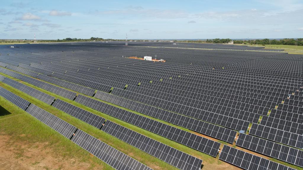 Bosques Solares de los Llanos · 125 MW